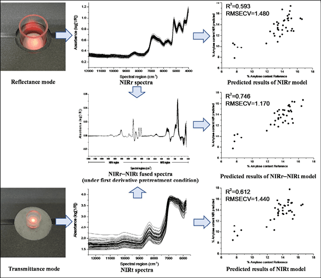 Schematic diagram of the method based on the data fusion of NIR diffuse reflectance and diffuse transmission spectra for the detection of rice flour amylose content 