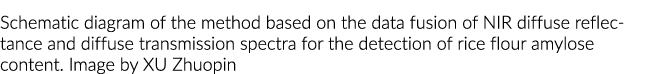 Schematic diagram of the method based on the data fusion of NIR diffuse reflectance and diffuse transmission spectra    