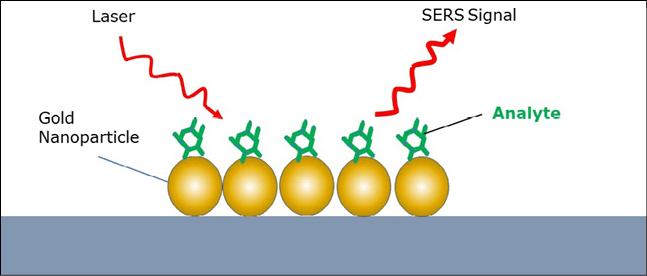 Schematic diagram of SERS