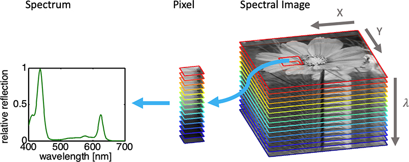 The hype in spectral imaging | Spectroscopy Europe/World