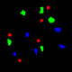 Near infrared hyperspectral imaging for foreign body detection and ...