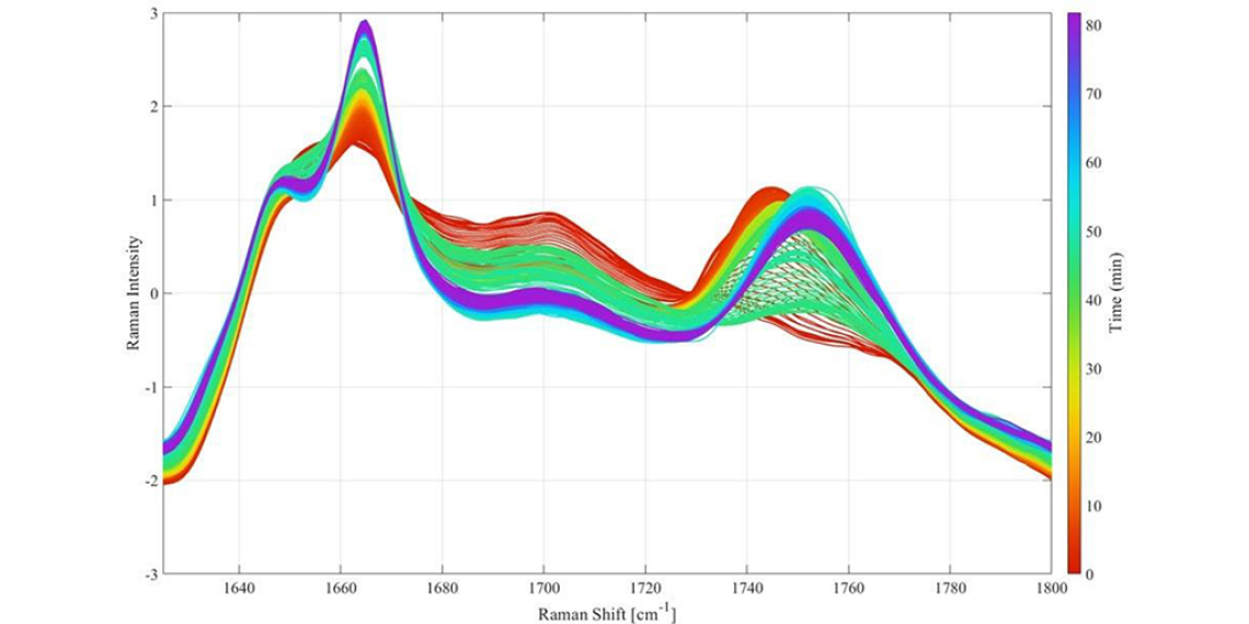 Spectra from the analysis