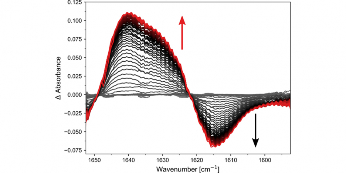 Time Resolved difference IR spectra