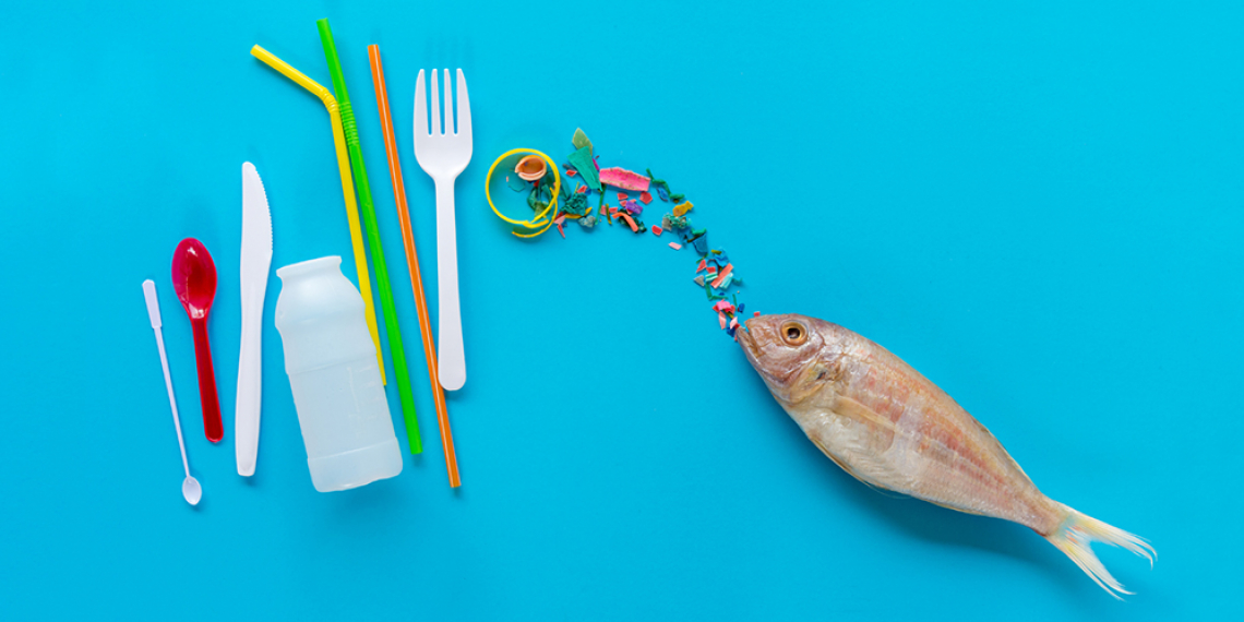 Photo of sources of microplastics and a fish on a blue background