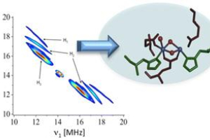 Schematic of the 2D HYSCORE method