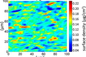 Distribution of Ca, S and Fe in a section of diffuse astrocytoma. Image: Diamond Light Source