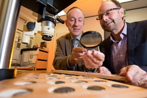 Photo of Kenneth Sheedy and Gil Davis examining ancient coins.
