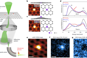 Vibrational spectroscopy of substitutional Si impurities in graphene