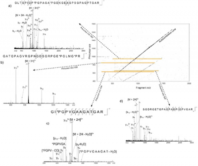 A 2DMS spectrum