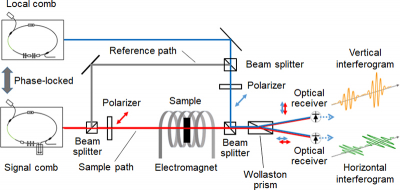 Block diagram of Faraday effect measurement system using dual-comb spectroscopy. The signal comb (red line) passes through the sample and is superposed with the local comb (blue line). The vertical and horizontal components of the interference signal are detected by the two optical receivers. Applying magnetic field to the sample, the Faraday effect (Faraday rotation angle) is measured. Credit: ©The University of Electro-Communications, Kaoru Minoshima and NEOARK.