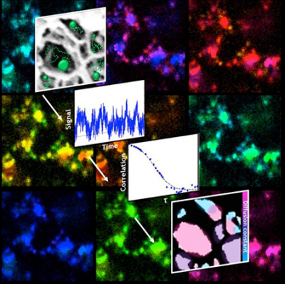 Diagrams and images of the paths fluorescent particles take as they diffuse through a porous nanoscale structure