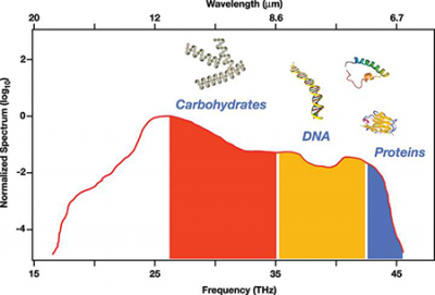 Diagram showing the emission spectrum of the laser and molecular fingerprint regions