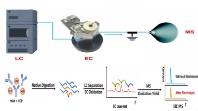 Diagram showing the workflow of the CMS method, combining liquid chromatography, electrochemical oxidation (EC) and mass spectrometry-based quantitative measurement of protein abundance