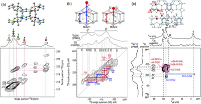 Examples of NMR spectra of zeolites