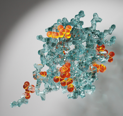 Drawing of of protein structures