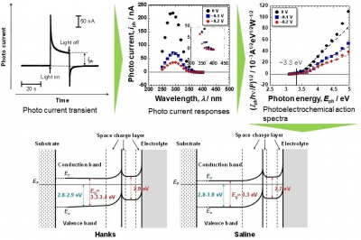 Spectra and diagram of electronic band structures of passive films formed on Ti