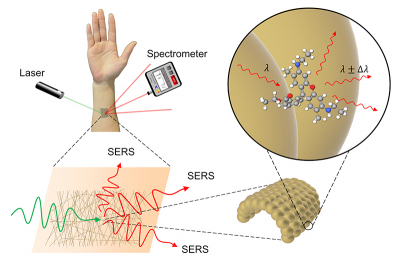 Diagram of the workings of the sensor