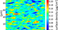 Distribution of Ca, S and Fe in a section of diffuse astrocytoma. Image: Diamond Light Source