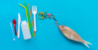 Photo of sources of microplastics and a fish on a blue background