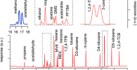 Chromatogram of PRM 0819 showing separation of compounds in the GC-FID/MS