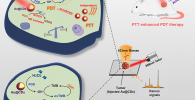 Diagram of core-shell structured Au@CDs present a photoinduced-enhanced oxidative stress amplification, which can be efficiently used for tumour catalytic therapy by SERS