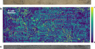 Visible and terahertz images of the cross